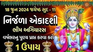 નિર્જળા એકાદશી આખા વર્ષનુ પુણ્ય પ્રાપ્ત કરવા કરો 1 ઉપાય  Nirjala Ekadashi 2024  Bhim Ekadashi 2024 [upl. by Tonneson]