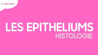 Les épithéliums  Histologie [upl. by Nivlak497]