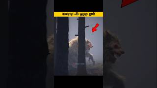 জঙ্গলের ৩টি ভুতুড়ে প্রাণী  Haunted animals shorts animals factsbangla mayajaal [upl. by Aeslek935]