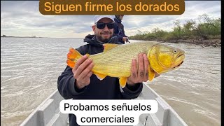 SEÑUELOS para dorados en modalidad baitcasting en San Nicolás de los arroyos [upl. by Dust]