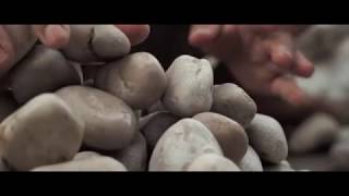 Pebble Tile Production Indonesia [upl. by Annirak]