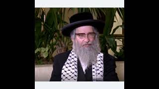 Rabbi Yisroel Dovid Weiss bless Israel and IDF [upl. by Novyat719]