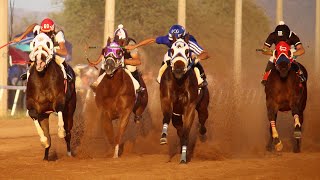 Carreras de Caballos en Empalme Carril El Zancudo18 de Diciembre 2016 [upl. by Anitnelav]