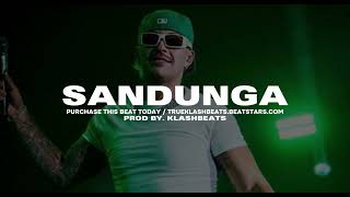 SANDUNGA  Instrumental Reggaeton Perreo  FEID Type Beat 2024 [upl. by Shelli]