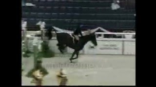 Brianne Goutal2004 WIHS Equitation Finals [upl. by Ladnek199]