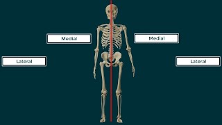 Términos Direccionales en Anatomía [upl. by Anitsyrhk]