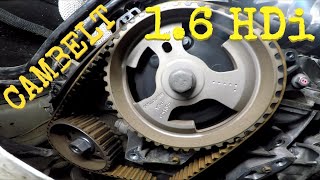 HOW TO Citroen Peugeot 16 HDi 16v TIMING belt CAMBELT waterpump coolant change IN DEPTH [upl. by Yenreit]