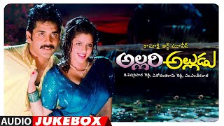 Allari Alludu Audio Songs Jukebox  Nagarjuna Vanisri Meena  MM Keeravani  Telugu Old Hit Songs [upl. by Thilde277]