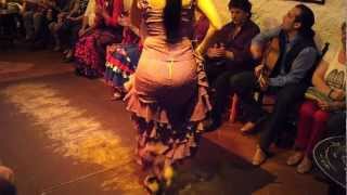 Flamenco Dance by Spanish Gypsies Part 1 [upl. by Artcele]