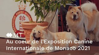 Au coeur de l’Exposition Canine Internationale de Monaco 2021 [upl. by Ernaldus]