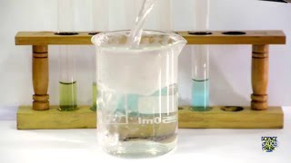 Food Tests  Iodine Biuret Benedicts Ethanol DCPIP [upl. by Ishii405]