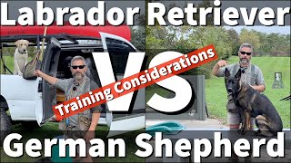 Labrador Retriever VS German Shepherd  Transferring Dog Training Skillsets [upl. by Anawahs]