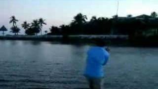 Backyard Bonefish Fly Fishing Islamorada Florida Keys [upl. by Aniat]