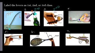 Lever Classes Review with Practice Examples [upl. by Jaynes]