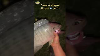 Atrapando un Pez 🫴🐟 Final Inesperado 🤣😎 [upl. by Beuthel]