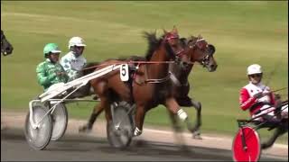 Dansk Hoppederby Consolation 2024  Iloveyou Butcher amp Flemming Jensen 1137 2000m [upl. by Yzzo]