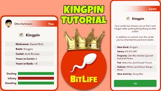 HOW TO BECOME THE KINGPIN AND SUCCESSFULLY RUN A CARTEL  dealer job pack  Bitlife [upl. by Yeleak297]