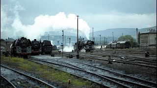 Saalfeld am 1591979 2Bilder vom Rundgang vormittags im Gleisbereich am Bw mit Tönen in mono [upl. by Yllek598]