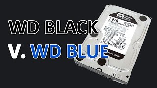 WD Blue vs Black vs Green  Best HDD for Gaming [upl. by Ylloh]