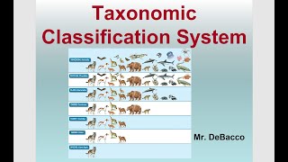 Taxonomic Classification [upl. by Brandes]