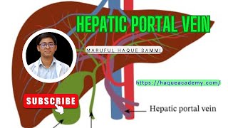 Hepatic Portal Vein [upl. by Pesvoh346]