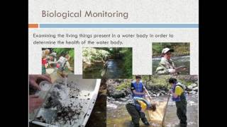 Water Quality and Biological Monitoring using Macroinvertebrates [upl. by Dorr]