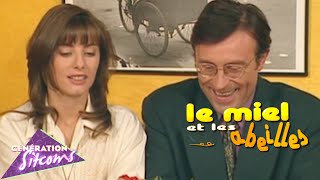 Le miel et les abeilles  Épisode 142  Retour au calme [upl. by Yticilef]