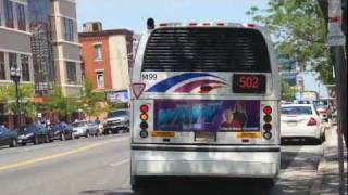 New Jersey Transit amp Greyhound Buses Around Atlantic City [upl. by Renferd]