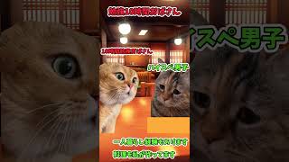 ザ・ノンフィクション婚活 猫ミーム編 婚活 2ch 猫ミーム vtuber 発言小町 [upl. by Erfert]