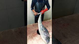 Mahimahi Fillet  Skinning Huge Dolphin Fish Cutting Skills [upl. by Schuyler]