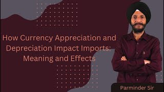 How Currency Appreciation and Depreciation Impact Imports Meaning and Effects [upl. by Efioa]