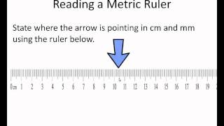 Reading a Metric Rulerwmv [upl. by Atinaw]