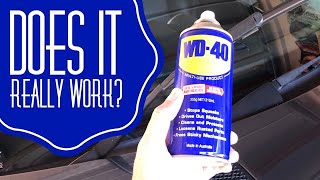 WD40 Hack on Wiper Blades Does it really work [upl. by Holmun]