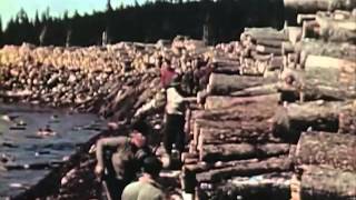 1950s Sawmill Workers Educational Documentary  Timber In The Northeast  CharlieDeanArchives [upl. by Harmon334]