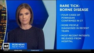 Connecticut health officials report 4 cases of rare tickborne illness [upl. by Adnahs412]