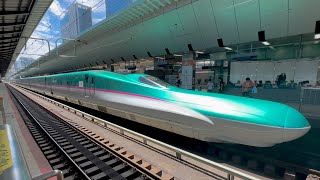 Riding the Japans Fastest Bullet Train l HAYABUSA First Class Seat 🚄 [upl. by Schreck]