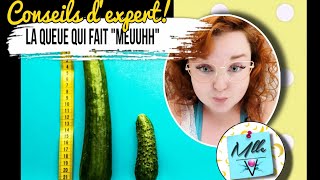 Conseils dexpert  Ta queue elle fait meuh fypyoutubesexologuerelationdecouple vieamoureuse [upl. by Isahella]