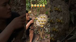 tease the hive and end up gaining weight 😂😂  Tropical Forest Bees [upl. by Horn]