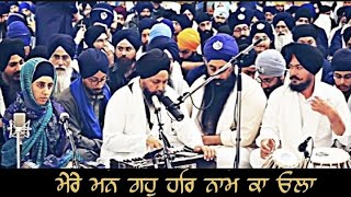 Akj Apardeep Singh UK  Dodra Kirtan  Akj  Samagam 2024 [upl. by Premer]