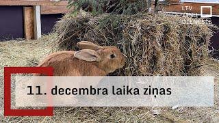 11 decembra laika ziņas [upl. by Ttocserp]