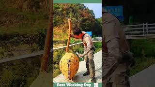 Best working day 2100 The process of cutting an aspen hive [upl. by Submuloc]