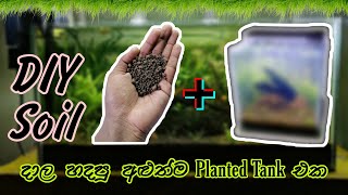 DIY Soil දාල හදපු අළුත්ම Planted Tank එක  The newest Planted Tank made with DIY Soil [upl. by Cardon528]