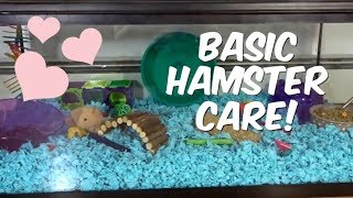 BASIC HAMSTER CARE [upl. by Isleen]