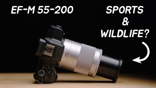 The Best Telephoto Lens for Canon EFM Cameras  EFM 55200mm IS STM [upl. by Behnken]