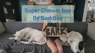 Super Chewer box By BarkBox  Our Dog Box Series [upl. by Etnoed]