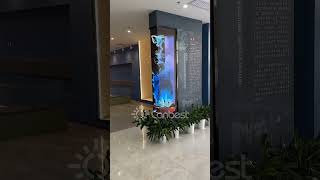 CanbestCustomizable interactive LED screen ledfactory ledscreensupplier leddisplayscreen [upl. by Asyen]