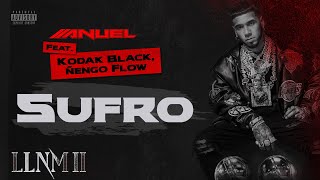 Anuel AA Kodak Black amp Ñengo Flow Sufro Visualizer Oficial  LLNM2 [upl. by O'Reilly686]