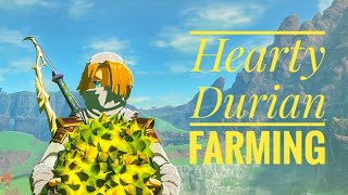 BotW 999 Hearty Durian Farming [upl. by Spiro]