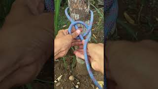 Quickest Way To Tie Bowline Knots rope knot knottying [upl. by Ahseekan]