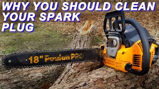 Fixing A Poulan Pro Chainsaw That Leaks [upl. by Catherin]